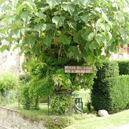 Bed & Breakfast Bricco Del Gallo