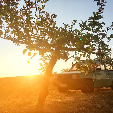 Bed & Breakfast Bricco Del Gallo Sinio