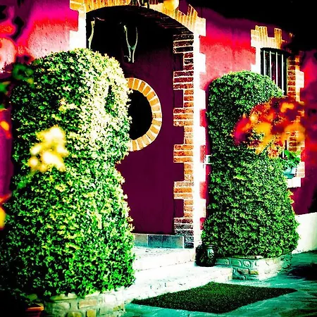 Bricco Del Gallo Sinio