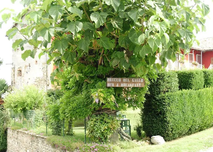 Bed and Breakfast Bricco Del Gallo