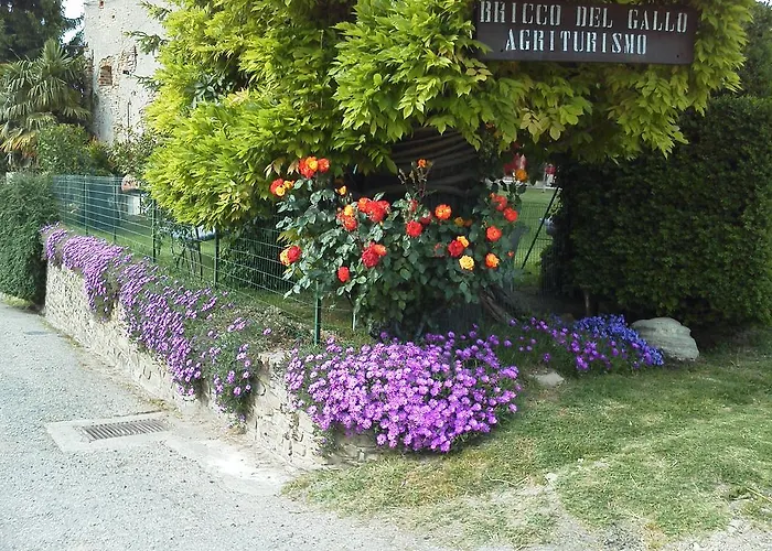 Bricco Del Gallo Sinio