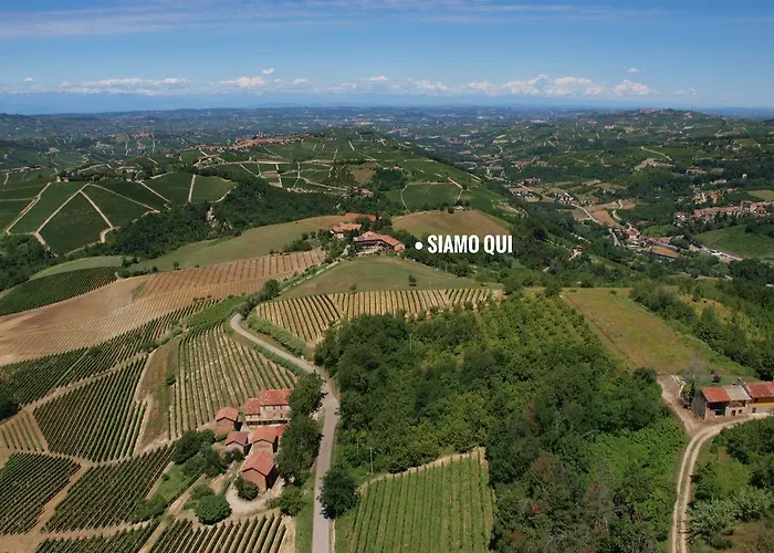 Bricco Del Gallo Sinio